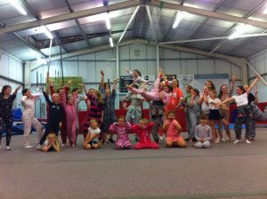 Onesie Training Add To  Fundraising Page